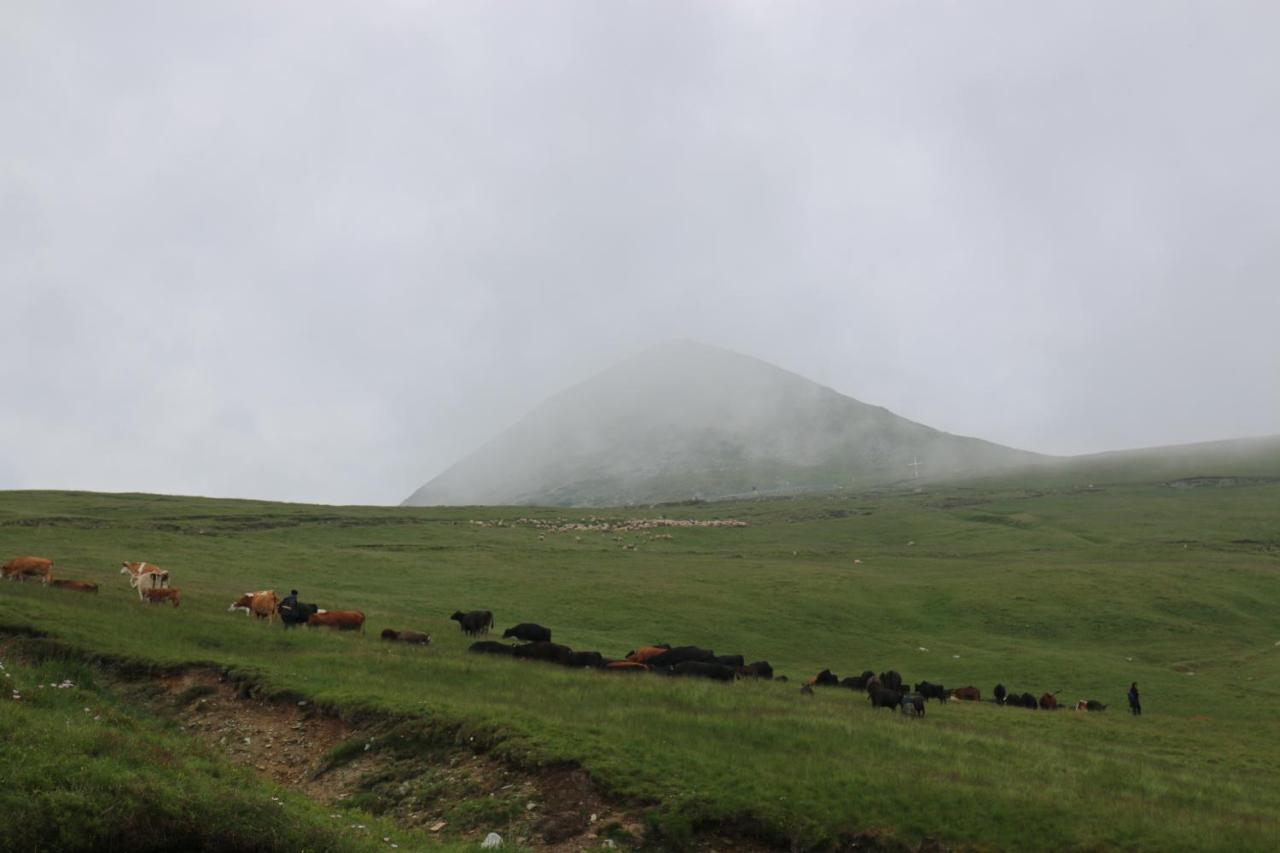 Cabana Transalpina Ranca Exterior photo