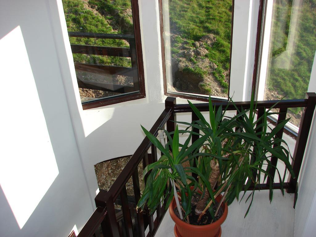 Cabana Transalpina Ranca Exterior photo